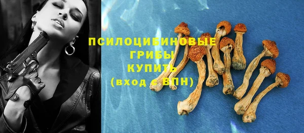 mix Бородино