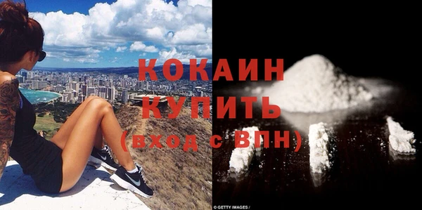 сатива Бугульма