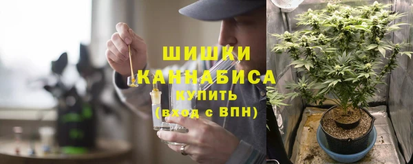 ECSTASY Бронницы